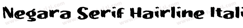 Negara Serif Hairline Italic字体转换